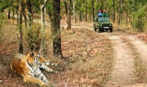 Corbett National Park Places To Visit Near Nainital
