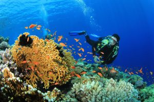 Scuba Diving in Andaman