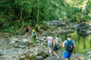 Dudhsagar Trek In Goa