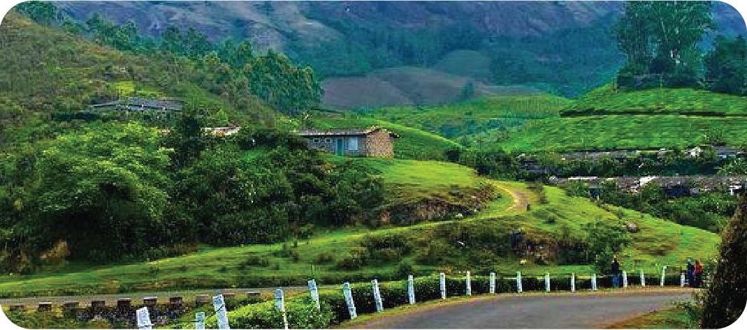 Munnar | Shree Tours and Travels
