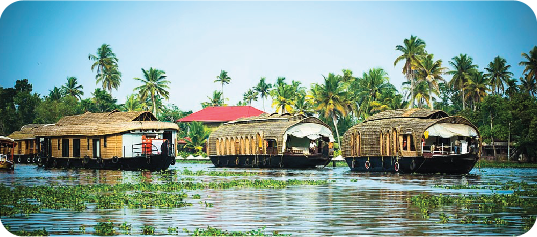 Alleppey | Shree Tours and Travels