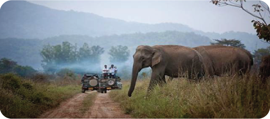 Shree Tours and Travels