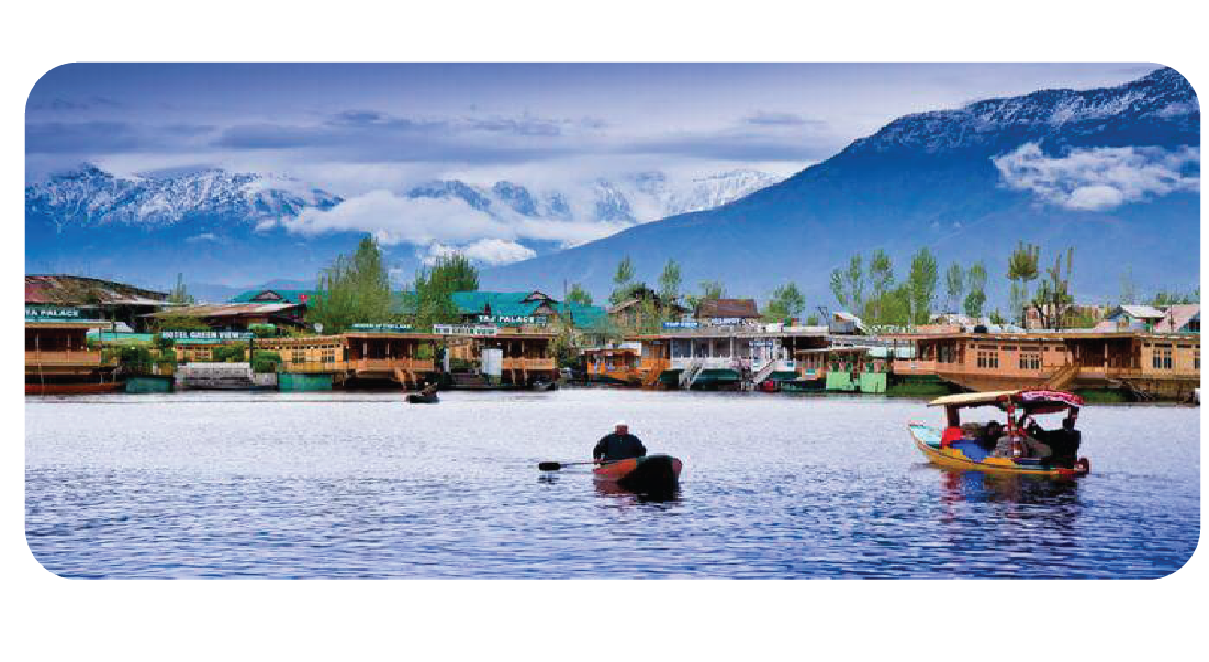 Shree Tours and Travels