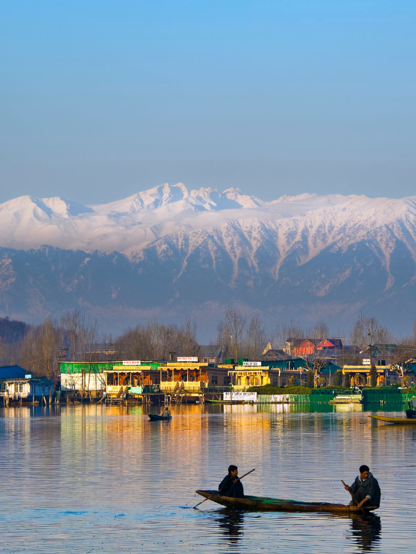 Untitled design (2) Home