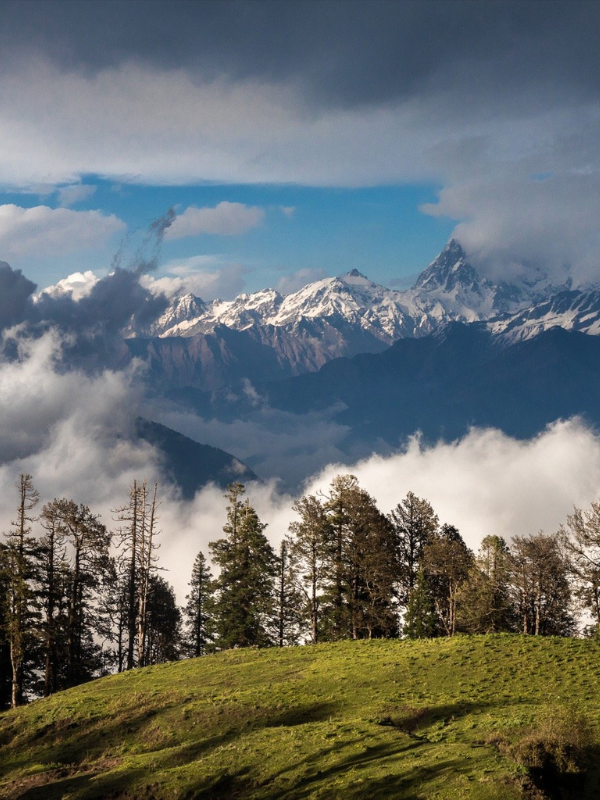 Untitled design (3) Home