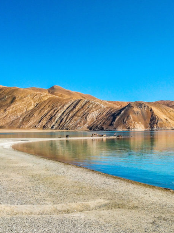 Untitled design (4) Home