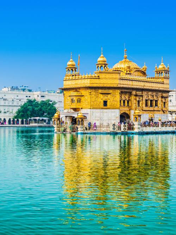 Untitled design (6) Home