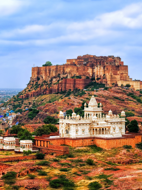 Untitled design (7) Home